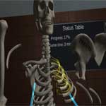 Human Anatomy Puzzle