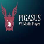 Pigasus VR Media Player